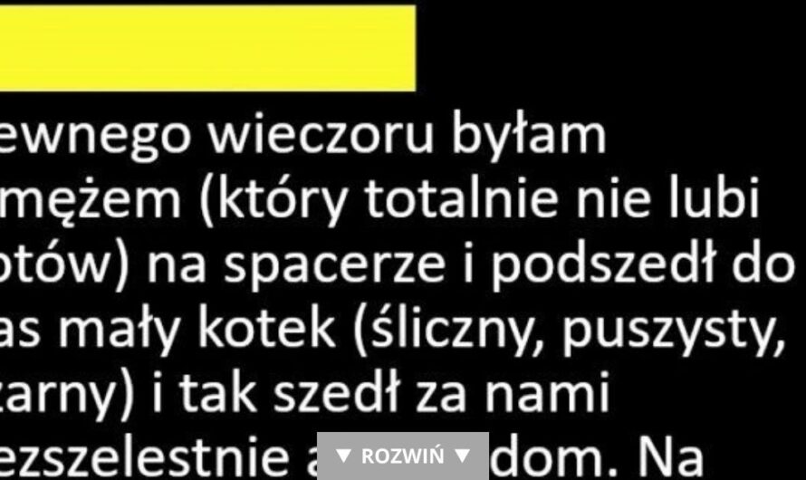 Nie lubi kotów