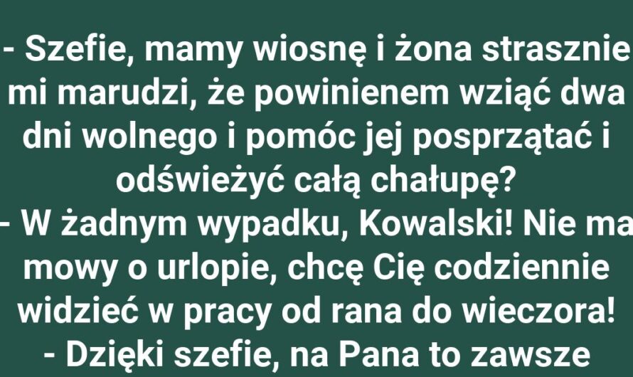 Szef na ratunek