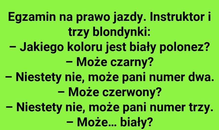 Egzaminacyjne przygody