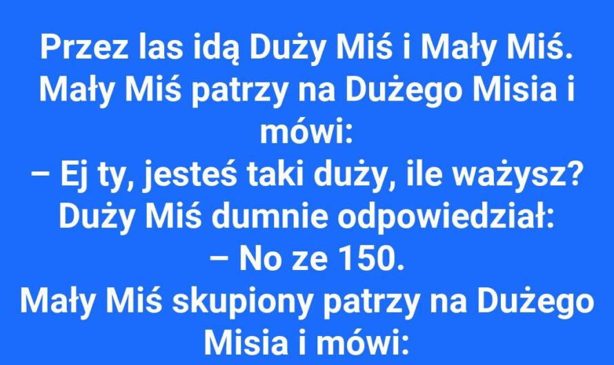 Ile waży duży miś