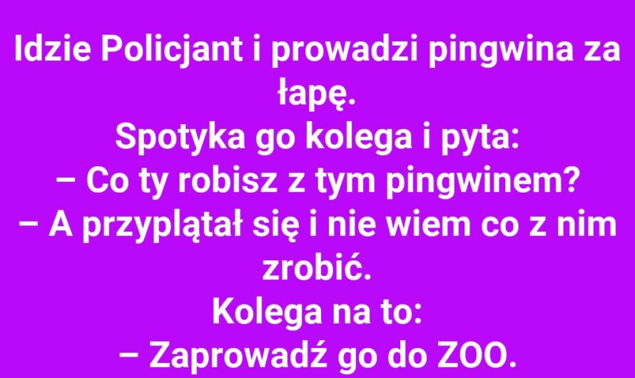 Policjant z pingwinem