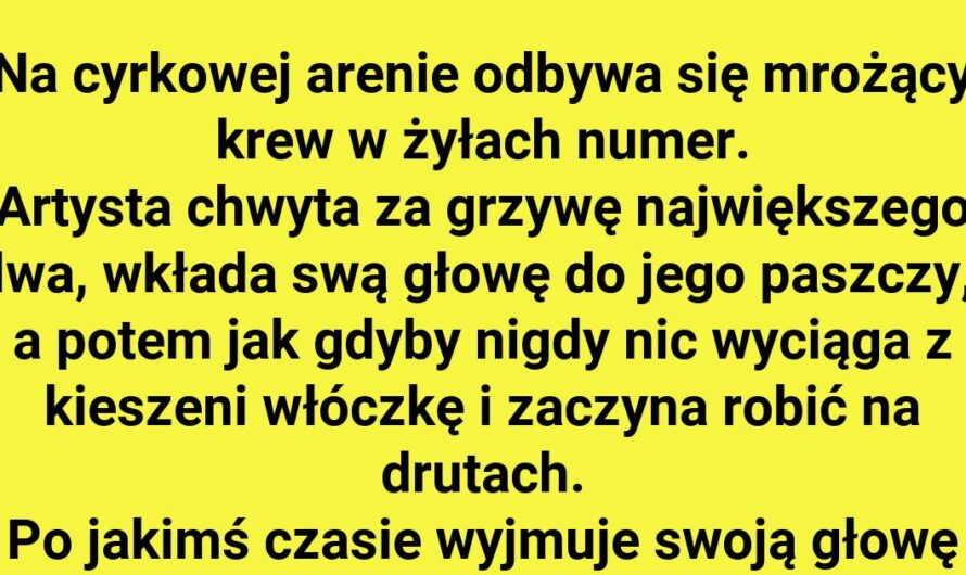 Niezwykły numer cyrkowy