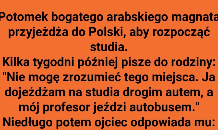 Studia w Polsce