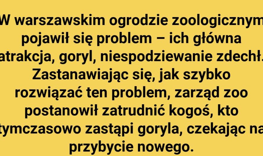 Wybieg pełen tajemnic