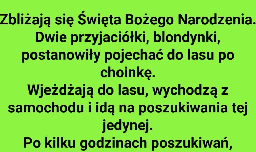 Świąteczna wyprawa