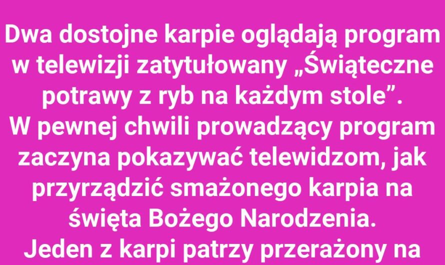 Przerażone karpie