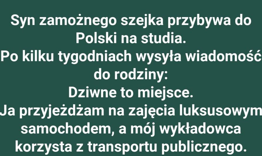 Szejkowski styl