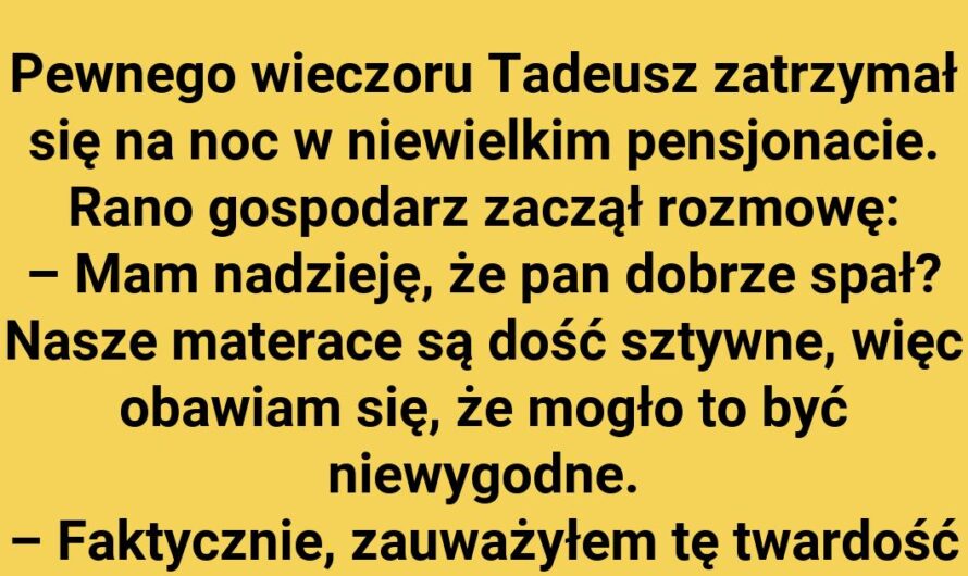 Niecodzienna noc Tadeusza