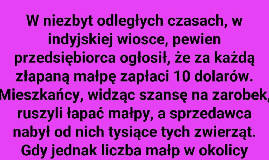 Inwestycja w małpy