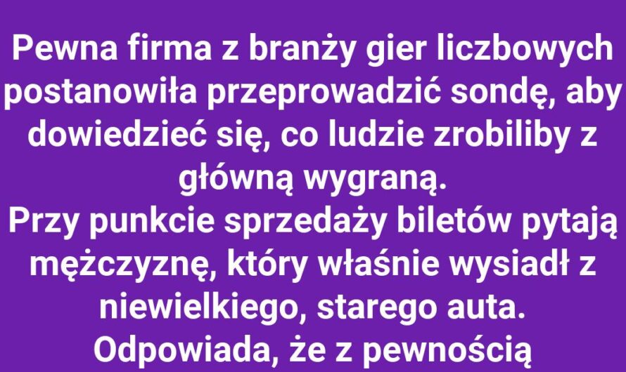 Plany na wygraną