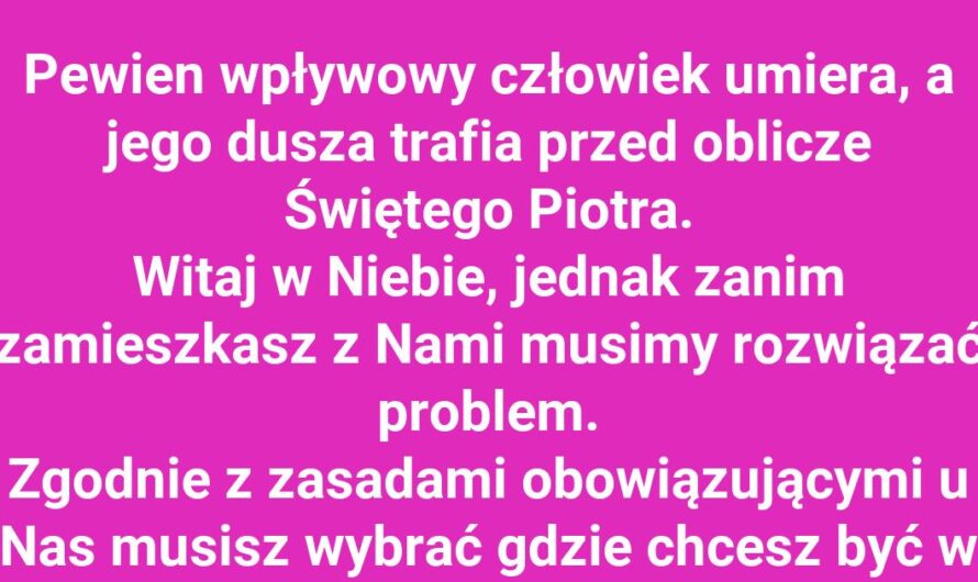 Poseł u Świętego Piotra