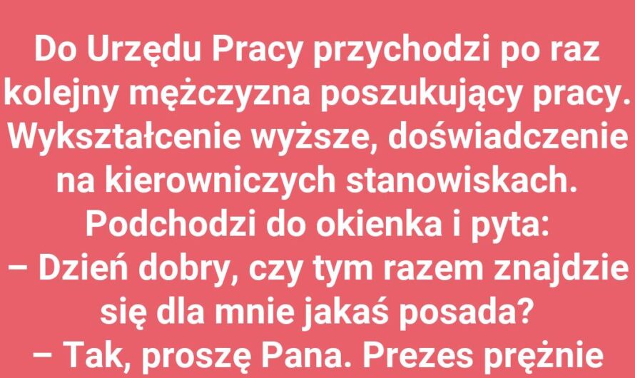 Oferty pracy jak z marzeń