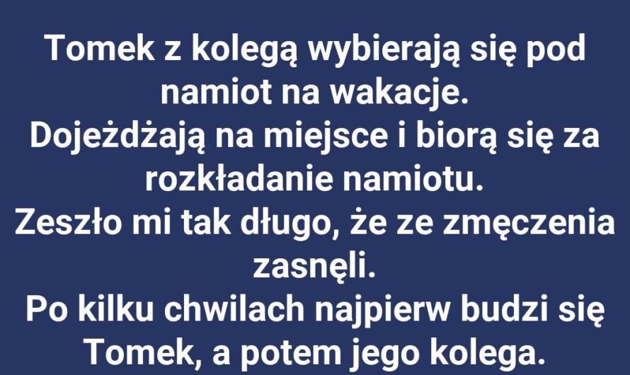 Tomek i noc pod gwiazdami