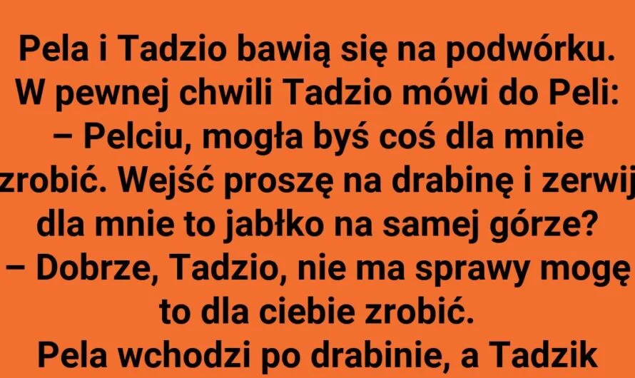 Pela i sprytny sposób na Tadzia