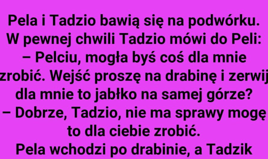 Jak Pela przechytrzyła Tadzia