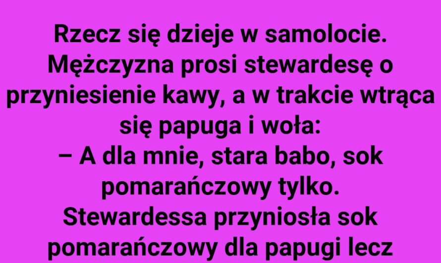 Papuga uczy odwagi – z przestrogą