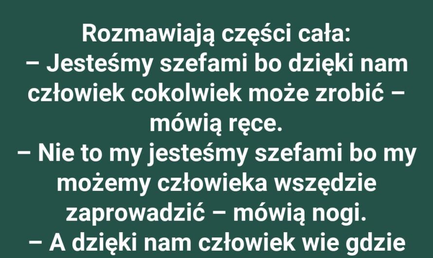 Morał z życia ciała: kto naprawdę jest szefem?