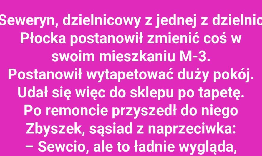 Seweryn i Zbyszek w akcji – tapetowanie z niespodzianką