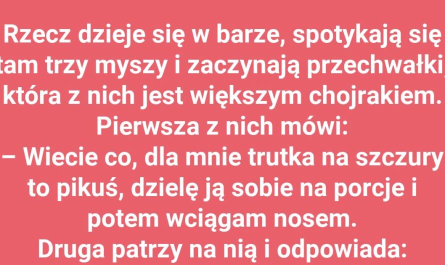 Kto tu jest największym twardzielem?