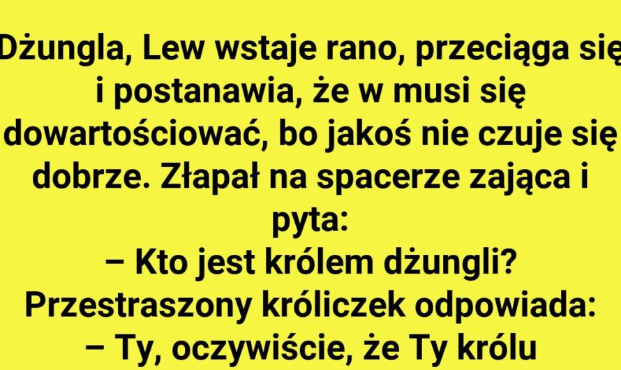 Kto rządzi w dżungli?