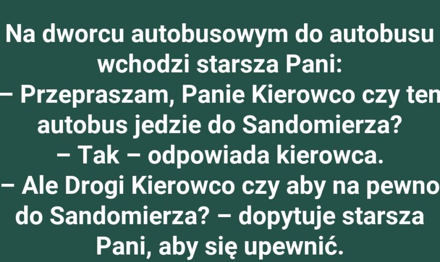 Kierowca kontra staruszka