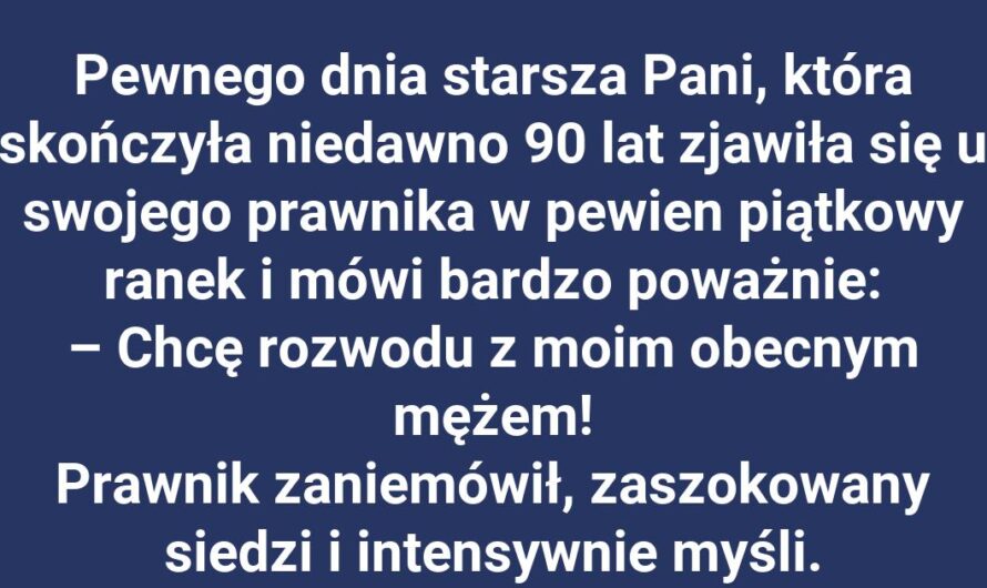 Pani Kowalska ma plan