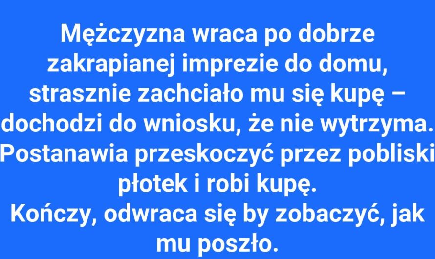 Nocna przygoda z nieoczekiwanym finałem