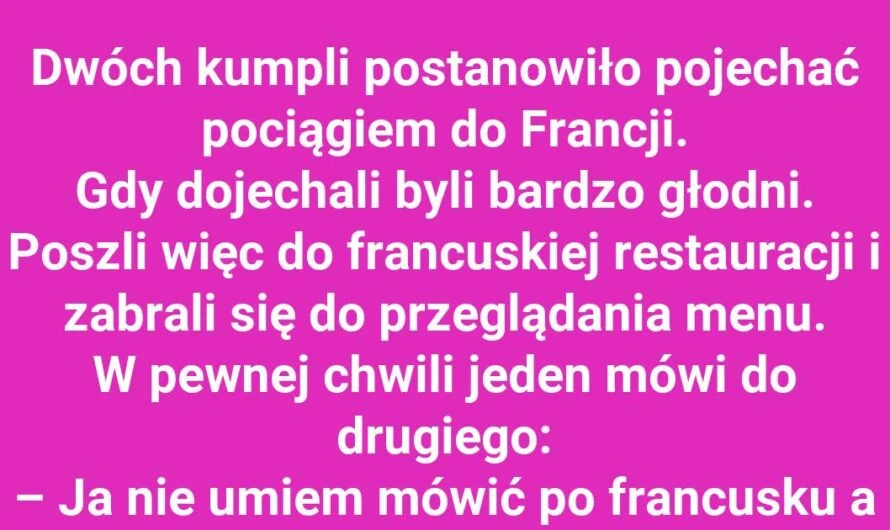 Kumple i ich językowa przygoda