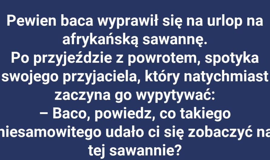 Co można zobaczyć w Afryce na wakacjach