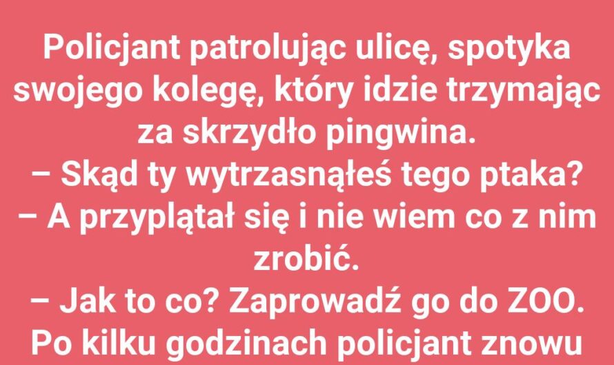 Kogo spotkał policjant?