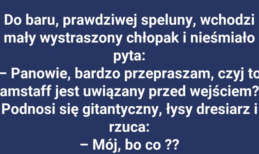 Niespodziewany zwrot akcji w psiej konfrontacji