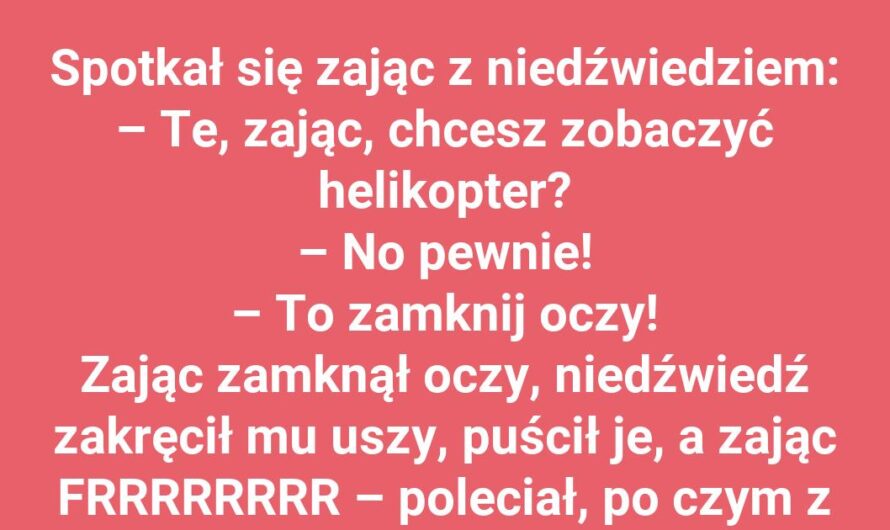 Gdy Zając Zostaje Pilotem