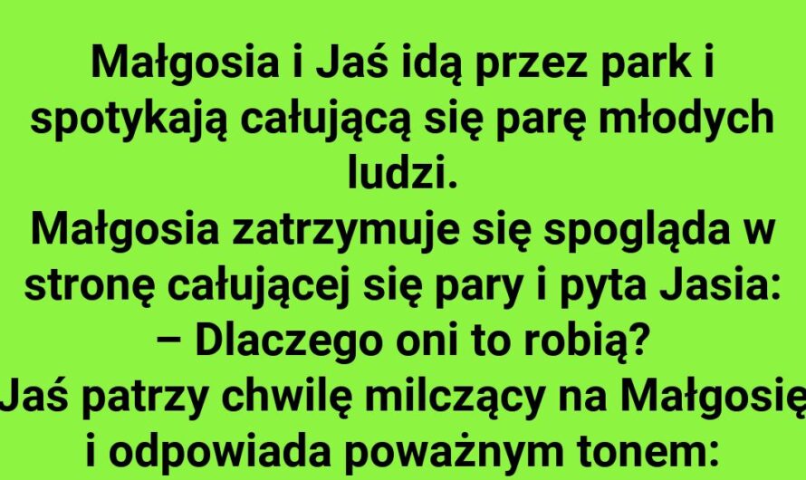 Słodka tajemnica parku