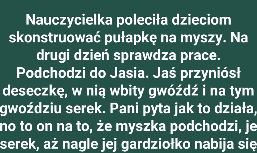 Gdy szkolny projekt wymyka się spod kontroli