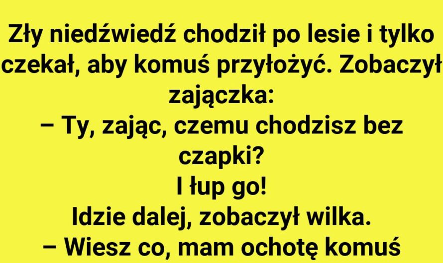 Leśne Perypetie: Gdy Niedźwiedź Ma Zły Dzień