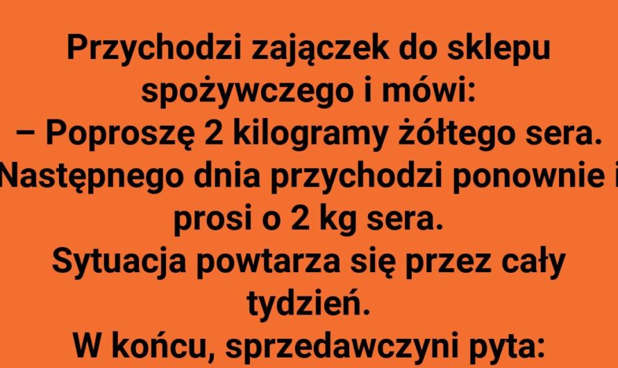 Jezioro pełne sera