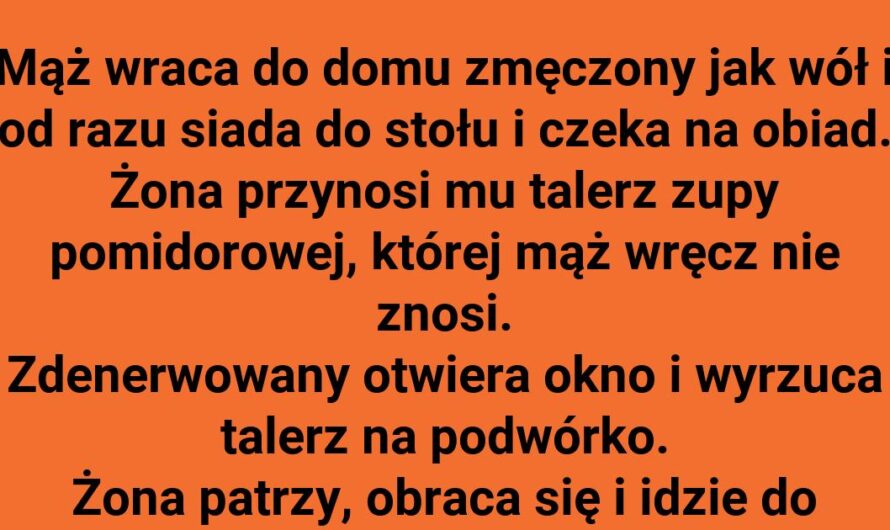 Obiadowy Cyrk