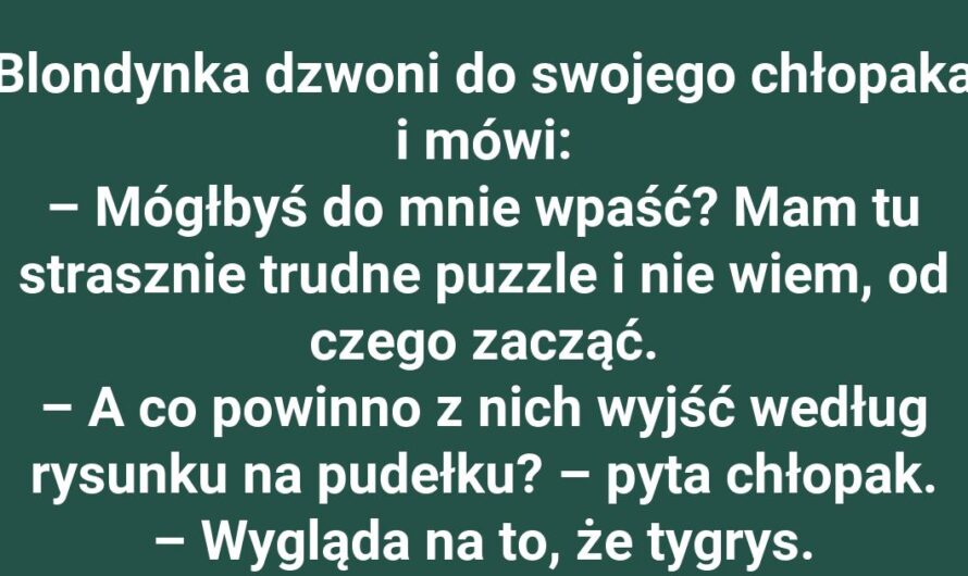 Blondynka i jej tygrysowe puzzle