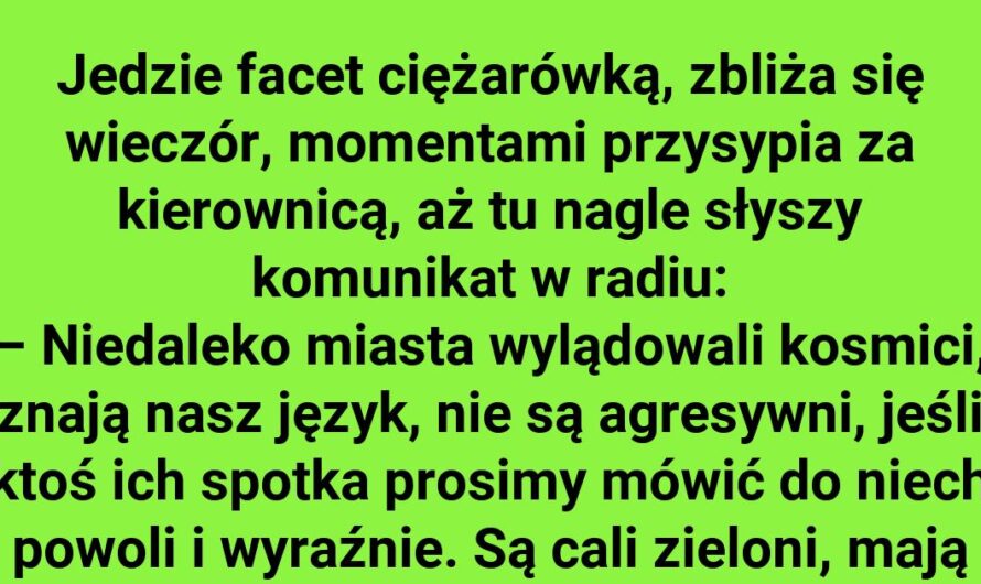 Kosmiczne nieporozumienie na leśnym przystanku