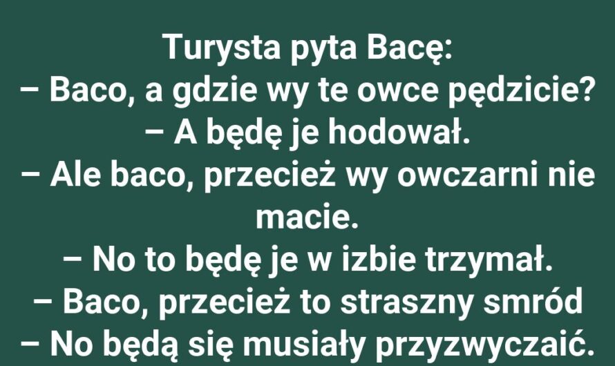 Baca i jego owcze plany!