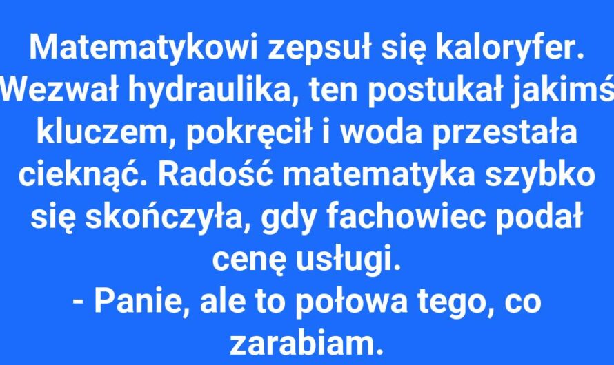 Hydraulik czy matematyk?