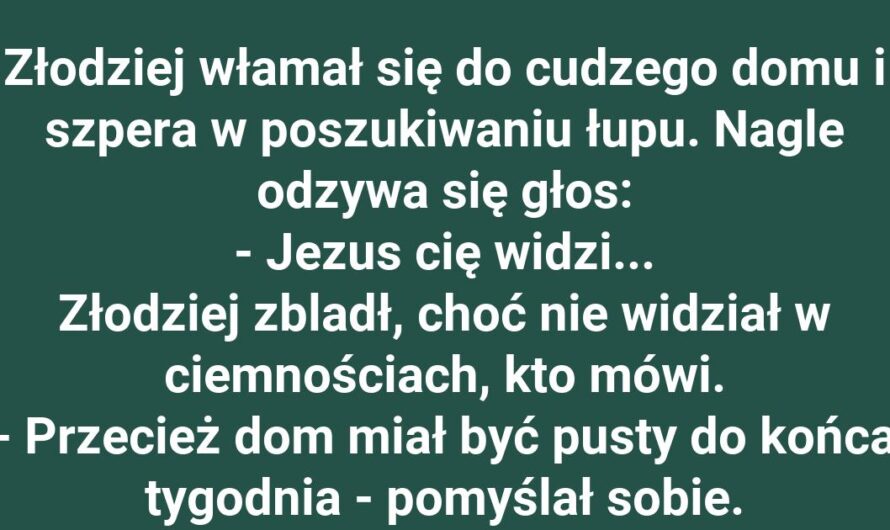 Złodziej w tarapatach: papuga i doberman