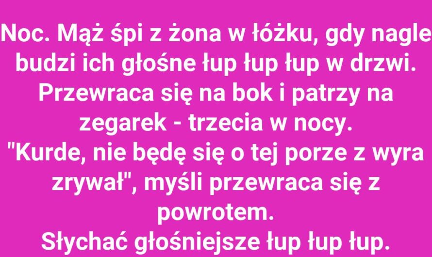 Nocna misja ratunkowa w ogrodzie