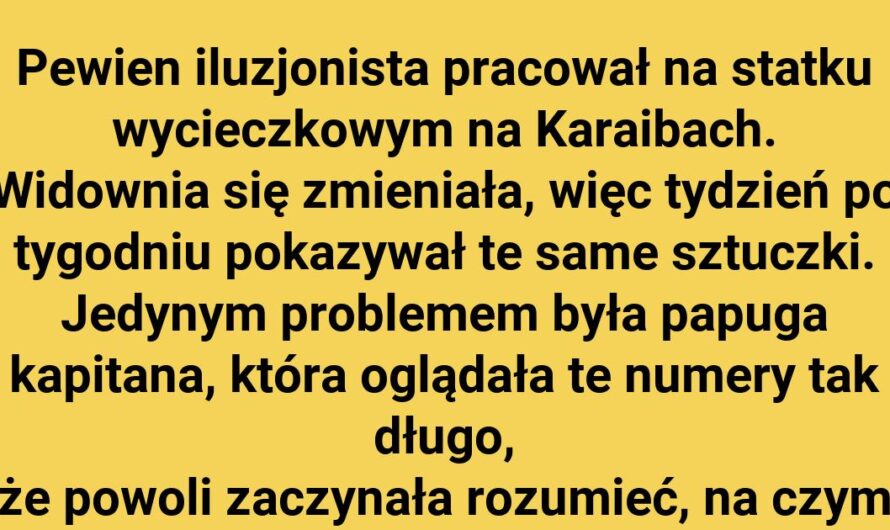 Gdzie podział się statek?