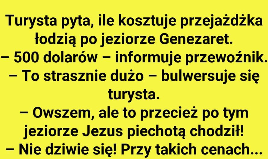 Szokujące ceny za rejs