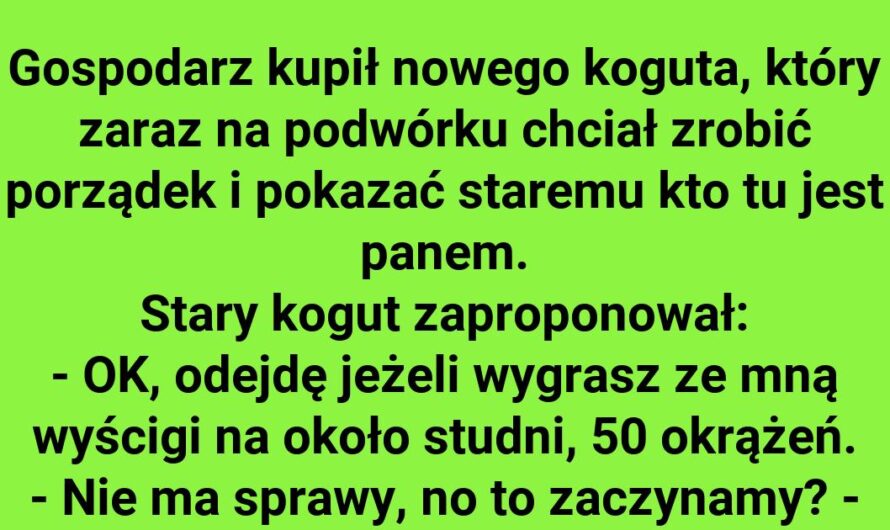 Wyścig kogutów