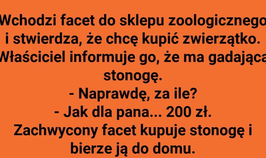 Dlaczego zwleka z odpowiedzią?