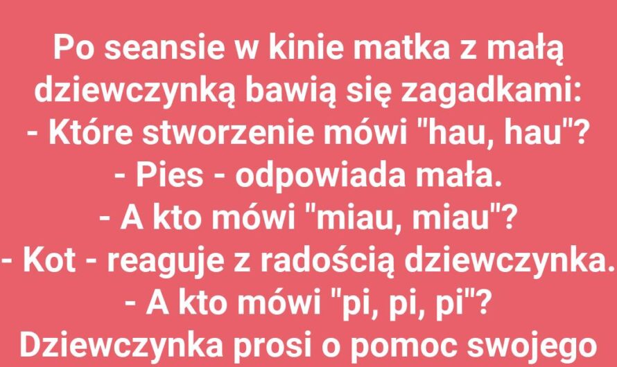 Odgłosy zwierzątek