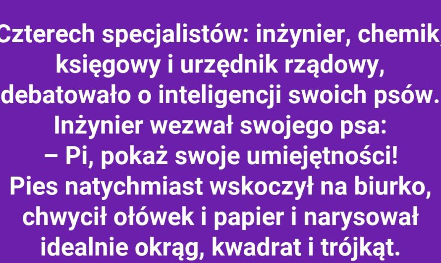 Który specjalista ma najbardziej sprytnego psa